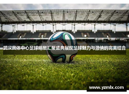 武汉奥体中心足球明星汇聚盛典展现足球魅力与激情的完美结合